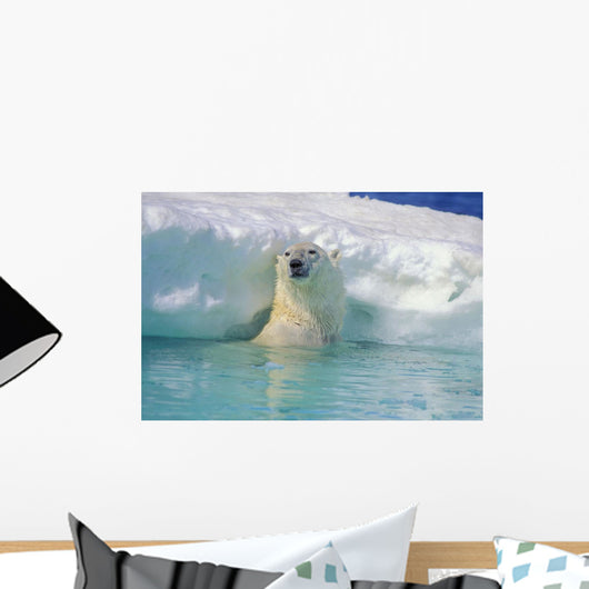 Polar Bear In Water Wall Mural
