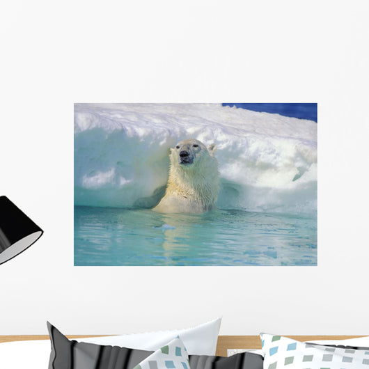 Polar Bear In Water Wall Mural