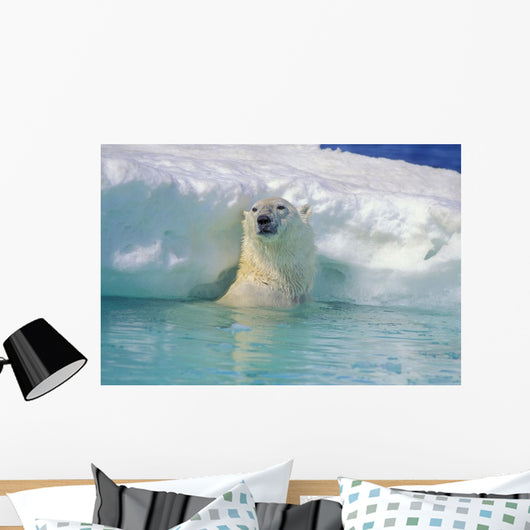 Polar Bear In Water Wall Mural