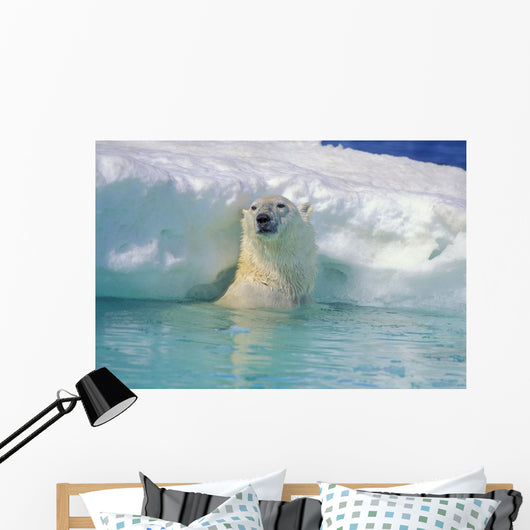 Polar Bear In Water Wall Mural