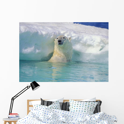 Polar Bear In Water Wall Mural