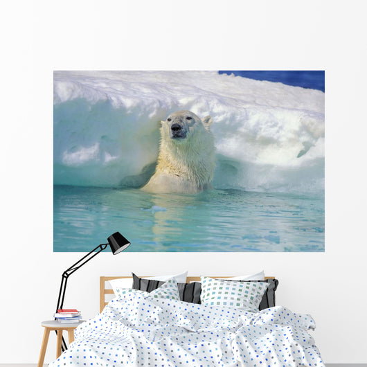 Polar Bear In Water Wall Mural