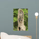 Baby Racoon's In Hollow Tree Wall Mural