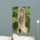 Baby Racoon's In Hollow Tree Wall Mural