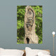Baby Racoon's In Hollow Tree Wall Mural