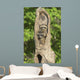 Baby Racoon's In Hollow Tree Wall Mural
