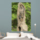 Baby Racoon's In Hollow Tree Wall Mural