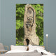 Baby Racoon's In Hollow Tree Wall Mural