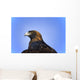 Golden Eagle Wall Mural