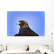 Golden Eagle Wall Mural