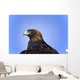 Golden Eagle Wall Mural