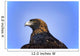 Golden Eagle Wall Mural