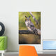 Long Eared Owl On Branch Wall Mural