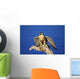 Peregrine Falcon On Perch Wall Mural
