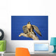 Peregrine Falcon On Perch Wall Mural