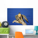 Peregrine Falcon On Perch Wall Mural