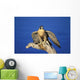 Peregrine Falcon On Perch Wall Mural