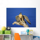Peregrine Falcon On Perch Wall Mural