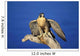 Peregrine Falcon On Perch Wall Mural