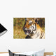Tiger Head Shot Wall Mural