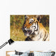 Tiger Head Shot Wall Mural