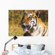Tiger Head Shot Wall Mural