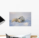 Polar Bear Sow With Cub Wall Mural