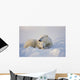 Polar Bear Sow With Cub Wall Mural