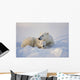 Polar Bear Sow With Cub Wall Mural