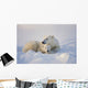 Polar Bear Sow With Cub Wall Mural