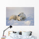 Polar Bear Sow With Cub Wall Mural