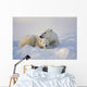 Polar Bear Sow With Cub Wall Mural