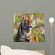 Tiger Watching Wall Mural