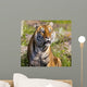 Tiger Watching Wall Mural