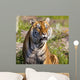 Tiger Watching Wall Mural