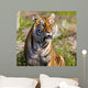 Tiger Watching Wall Mural