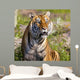 Tiger Watching Wall Mural