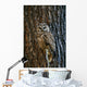 Mexican Spotted Owl Camouflaged Against Tree Bark Wall Mural