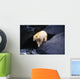 Kermode Bear On Boulder Hunting Salmon Wall Mural