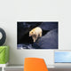 Kermode Bear On Boulder Hunting Salmon Wall Mural