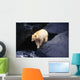 Kermode Bear On Boulder Hunting Salmon Wall Mural