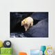 Kermode Bear On Boulder Hunting Salmon Wall Mural