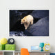Kermode Bear On Boulder Hunting Salmon Wall Mural