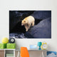 Kermode Bear On Boulder Hunting Salmon Wall Mural