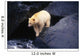 Kermode Bear On Boulder Hunting Salmon Wall Mural