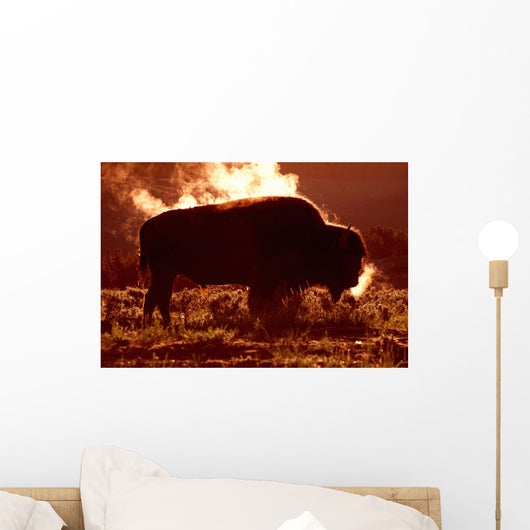 Steam Rolling Off Solitary Bison Wall Mural