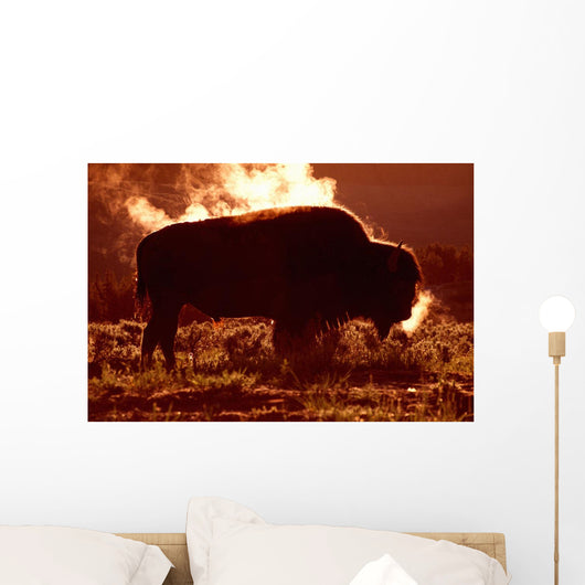 Steam Rolling Off Solitary Bison Wall Mural