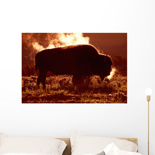 Steam Rolling Off Solitary Bison Wall Mural