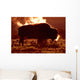 Steam Rolling Off Solitary Bison Wall Mural