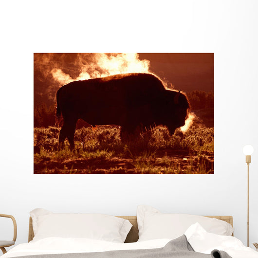 Steam Rolling Off Solitary Bison Wall Mural